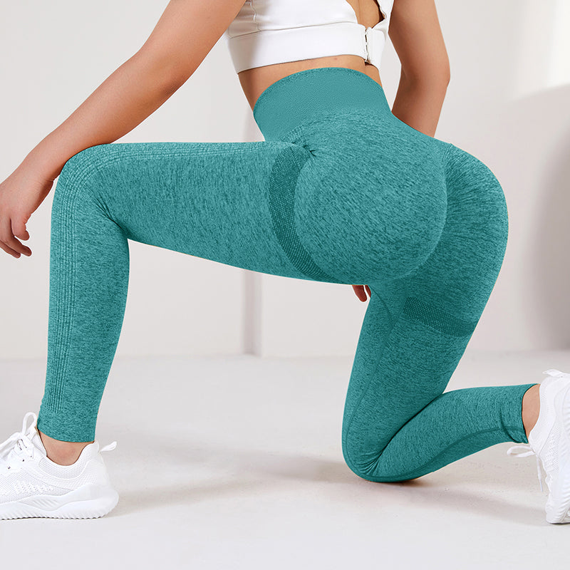 Seamless Sculpt Leggings